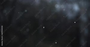 Snow flakes overlay, black background. Winter, slowly falling snow effect. Stock Video