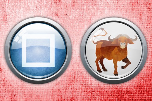 Chinese Zodiac animals: What is a Metal Ox and what year is it?
