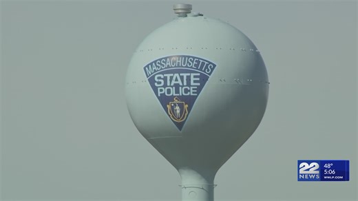 Jujitsu may replace boxing in police training