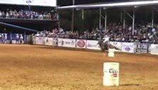 M aka Sugar Moon Eclipse making a nice run at the Texas Cowboy Reunion. He loves night rodeos as much as I do this time of year!! | Lindsay Sears