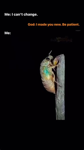 6.7K views · 166 reactions | Wow #salvation #hope #redeemed #cross #forgiveness #heaven #truth #blessed #savior | Gospelbeliever | Facebook