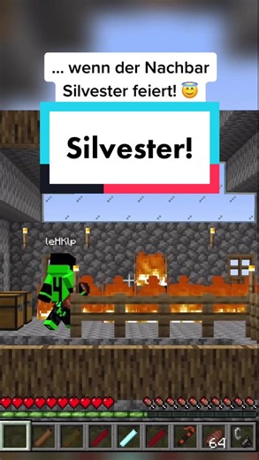 … wenn der Nachbar Silvester feiert! @derlekoopa #mc #childhood #lekoopa #minecraft #funny