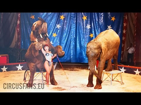 Gli elefanti del Circo Krones presentati da Desiré Caroli (1992)