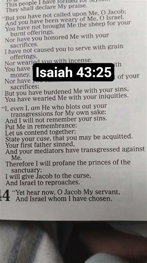 Isaiah 43:25 #bible #dailybibleverse #christ #christian #foryouviral