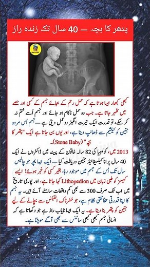 The Mystery of the Stone Baby 🪨 | Nature’s Hidden Secret