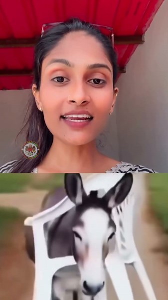 இப்போ இதுதான் தமிழ்நாட்டோட நிலைமை🥲 #TVKFails | Sangi Mangi Songi