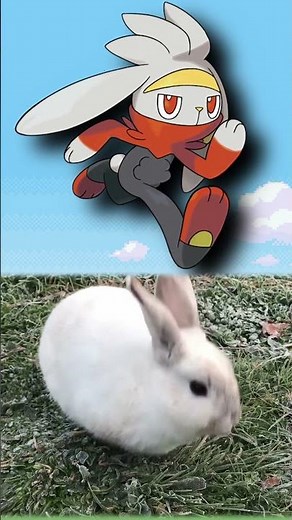 WTF is Raboot?| EVERY Pokémon Design Explained #pokemon #pokemoncards #shorts