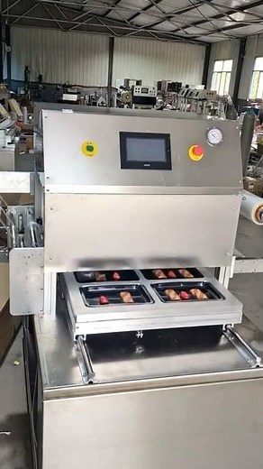 Automatic cutter vacuum skin packaging machine
