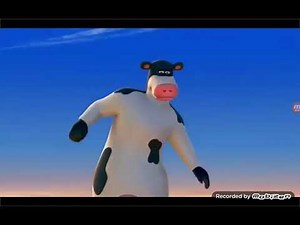 Barnyard Hill Surfing