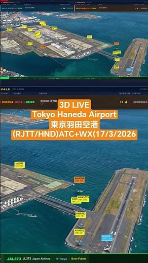 3D LIVE Tokyo Haneda Airport 東京羽田空港(RJTT/HND)ATC+WX(17/3/2026）
