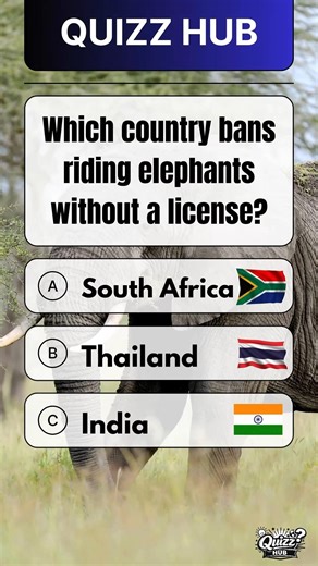 USA Quiz 😨🇺🇸 #quiz #shorts #america #usa