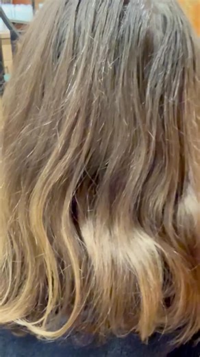 Haarsalon Hair Junkies | Because we are addicted to it✨ | ✨ Violet rood met lef voor Priscilla ✨ Priscilla was helemaal klaar met haar huidige haarkleur en toe aan iets uitdagends. SaSh werkte... | Instagram