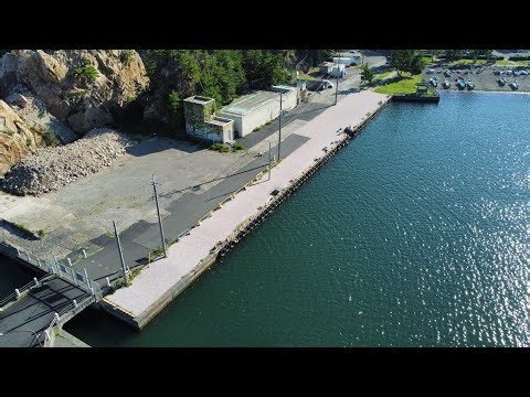 網代港/鳥取県岩美町【空撮】