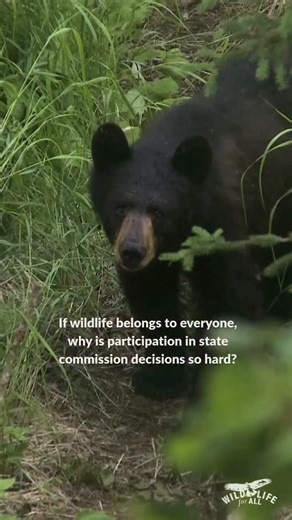 What’s stopping you from getting involved in your state wildlife commission? State wildlife commissions shape what happens to wildlife in your state, often with little transparency and even less public input. If we want more democratic, science-informed wildlife governance, we have to understand what’s keeping people out. For most people, it’s not apathy, it’s barriers. Time. Access. Confusing processes. Meetings held during work hours. Decisions made before the public ever enters the room. So t