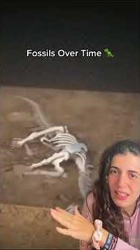 PROCESO DE FOSILIZACIÓN. Así funciona.