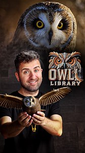 Owl Library... #architecture #ai #sketch #animalovers #animal #art #inspiration #funny #owl #library | Fatih Ekşi