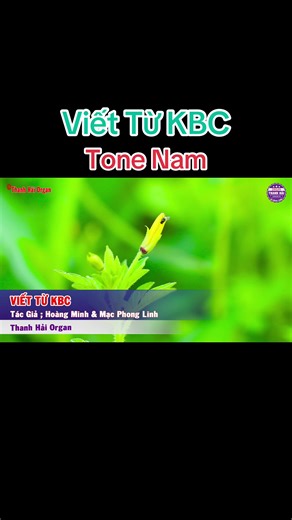 Karaoke Viết Từ KBC Tone Nam Dễ Hát