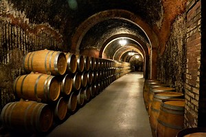 Ribera del Duero wine region. Routes, trips and terroir -