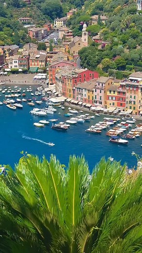 📍Portofino, Italy 🇮🇹❤️ . . . . . . #portofino #liguria #italy #italia #genova #ferrari #santamargheritaligure #portofinoitaly #sea #cinqueterre #camogli #mare #ig #f #travel #rapallo #summer #milano #liguriagram #luxury #sestrilevante #portovenere #ferrariportofino #laspezia #love #travelphotography #pics #super #tigullio #madeinitaly | Travel Vibes .Abi ღ