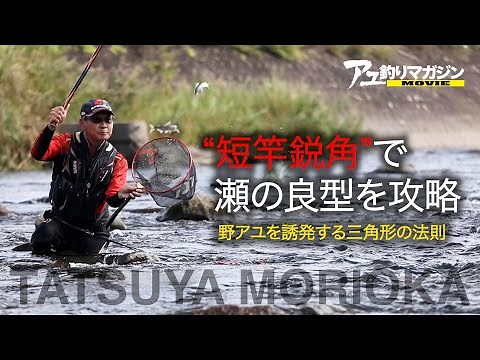 “短竿鋭角”で瀬の良型を連発［鮎釣りテクニック］