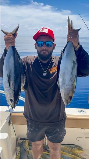 LIMITED OUT in 30 Minutes: Marathon Keys Tuna & Mahi Madness! 🎣🔥