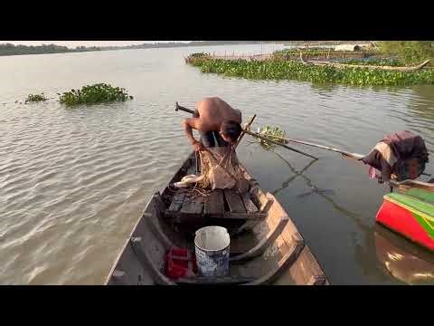 Cast Net vs Hand Fishing | Which Catches More? - Best Fishing | THE END ❤️🙏❤️