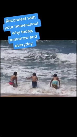 Here to help you make the most of your homeschool time #HomeschoolMindset #homeschoollife