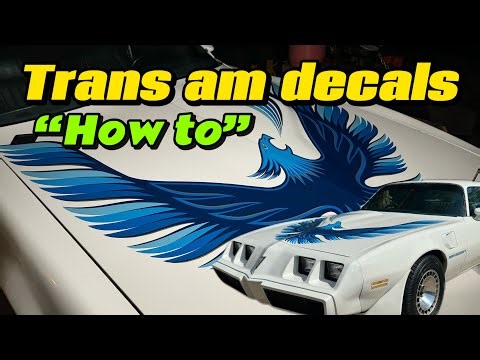 How to decal a TURBO Trans Am (budget build) with only two people #graphics ​⁠