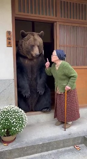 熊に説教するおばあちゃんの面白動画