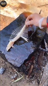 Is Eating Fish Bones Healthy? 🐟🦴