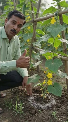 Why smart farmers are switching to this method #agriculture #farming #smartfarming