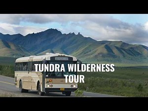Tundra Wilderness Tour | Denali National Park | Alaska