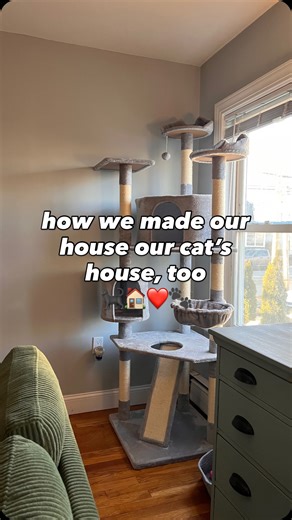 baela on Instagram: "you don’t need a lot of space or a huge budget to make your house more cat-friendly. here are some renter-friendly ways we cat-ified our home: 🏠 door buddies we placed these renter-friendly devices on multiple doors so that Baela is free to enter and exit rooms as she pleases 🏠 cat tree and vertical space Baela has access to vertical space that allows her to be taller than us in each room. in the living room, it’s her cat tree. but in the bedroom, it’s the dresser 🏠 feliw