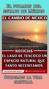 El Lago de Texcoco es hoy un espacio natural de restauración ecológica, ampliamente recuperado y transformado en un imponente Parque Ecológico de más de 14 000 hectáreas en el Estado de México, entre Texcoco, Atenco, Chimalhuacán, Ecatepec y Nezahualcóyotl. Esta es su historia y situación actual Fue un vasto lago salino en el Valle de México, hogar de civilizaciones como los mexicas, quienes fundaron Tenochtitlán sobre islotes en sus aguas. Con la llegada de los españoles, iniciaron trabajos de 