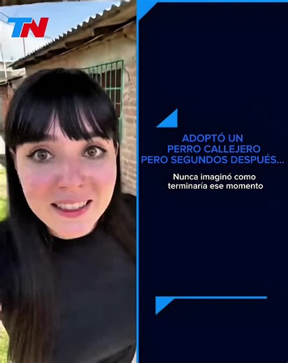 Video de cami (@jajzs._.jajds) relacionado con “the girl and the dog”