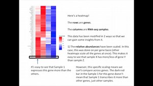 Drawing and Interpreting Heatmaps (480p)