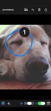 Enable pan and zoom mode #imageediting