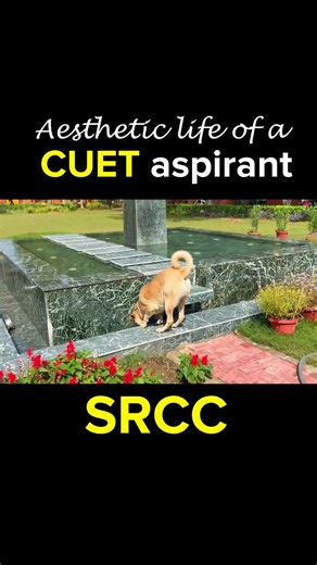 CUET Aspirant's Dream – SRCC Campus Vibes ✨ #cuet2026 #srcc #cuetug #dream #delhiuniversity