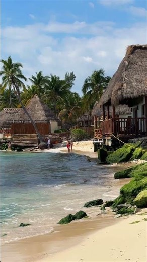 🇲🇽 Caribbean Paradise, Playa del Carmen, Mexico #shorts