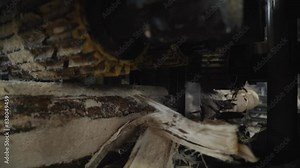 Industrial Saw Machine Processing Wooden Log Material. Automated Saw Machine Processing A Log At Manufacturing Warehouse Plant. Saw Machine With Multiple Blades Processing In Lumber Mill Factory.