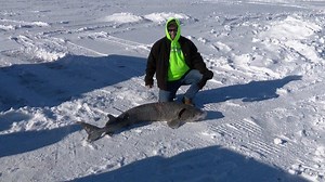 Sturgeon spearing season on Lake Poygan