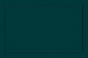 Discover why Isabel Bannerman thinks naturalistic planting looks like hard work, how she is no good at growing vegetables and where she would go in a time machine 🎧 https://link.chtbl.com/8LMiHg9o | Gardens Illustrated