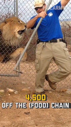 664K views · 5K reactions | Insane Nature Fails 藍 #earthday | FailArmy | Facebook