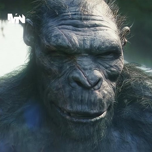 Kong fighting Scene || Godzilla x Kong: The New Empire #godzillaxkongthenewempire #scarking #netflix