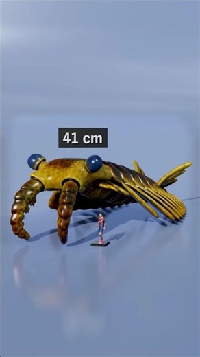 Which Sea Monster Was The Biggest Ever?