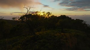 Stunning Natural Landscapes (8K)