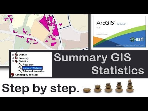 GIS ArcMap. Summary Statistics Tool