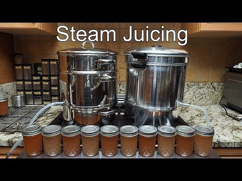 Steam Juicing Grapes