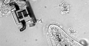 Microscopic robot would use laser pulses to walk through the body