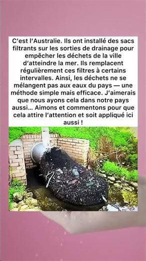 Une idée simple qui protège la mer 🌊 #ecologie #environnement